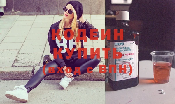 эйфоретик Няндома