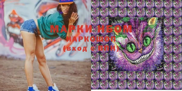 эйфоретик Няндома