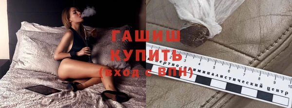 эйфоретик Няндома