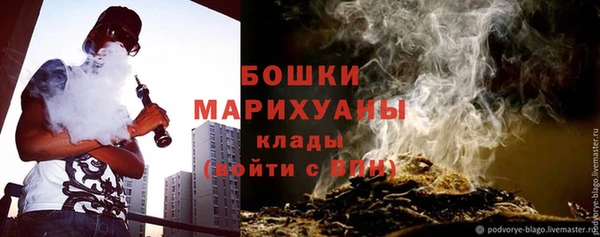 эйфоретик Няндома