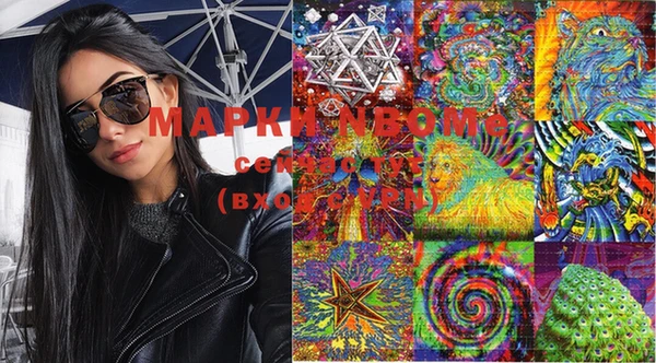 эйфоретик Няндома