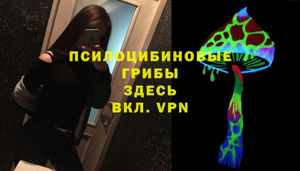 эйфоретик Няндома